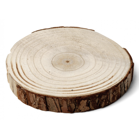 Rondin de bois naturel 20 à 28cm