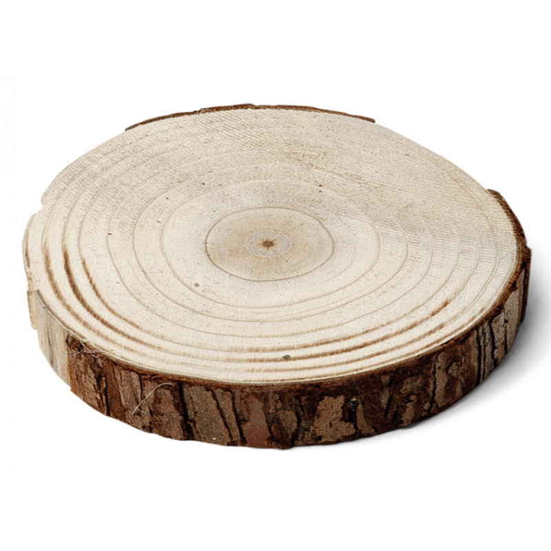 Grand Rondin en bois naturel plat 20-24cm