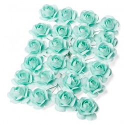 Roses menthe x24