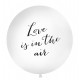 Ballon géant "love is in the air"