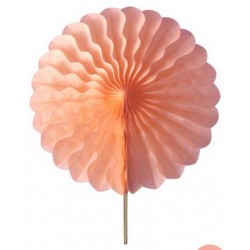 2 Rosaces pêche - 25cm